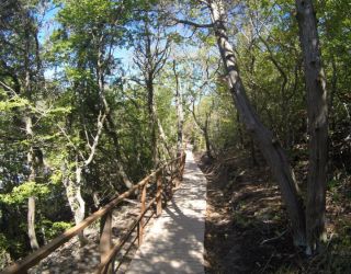 Детский лагерь "Чемпион" / "Champion CAMP"