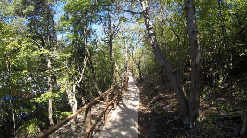 Детский лагерь "Чемпион" / "Champion CAMP"